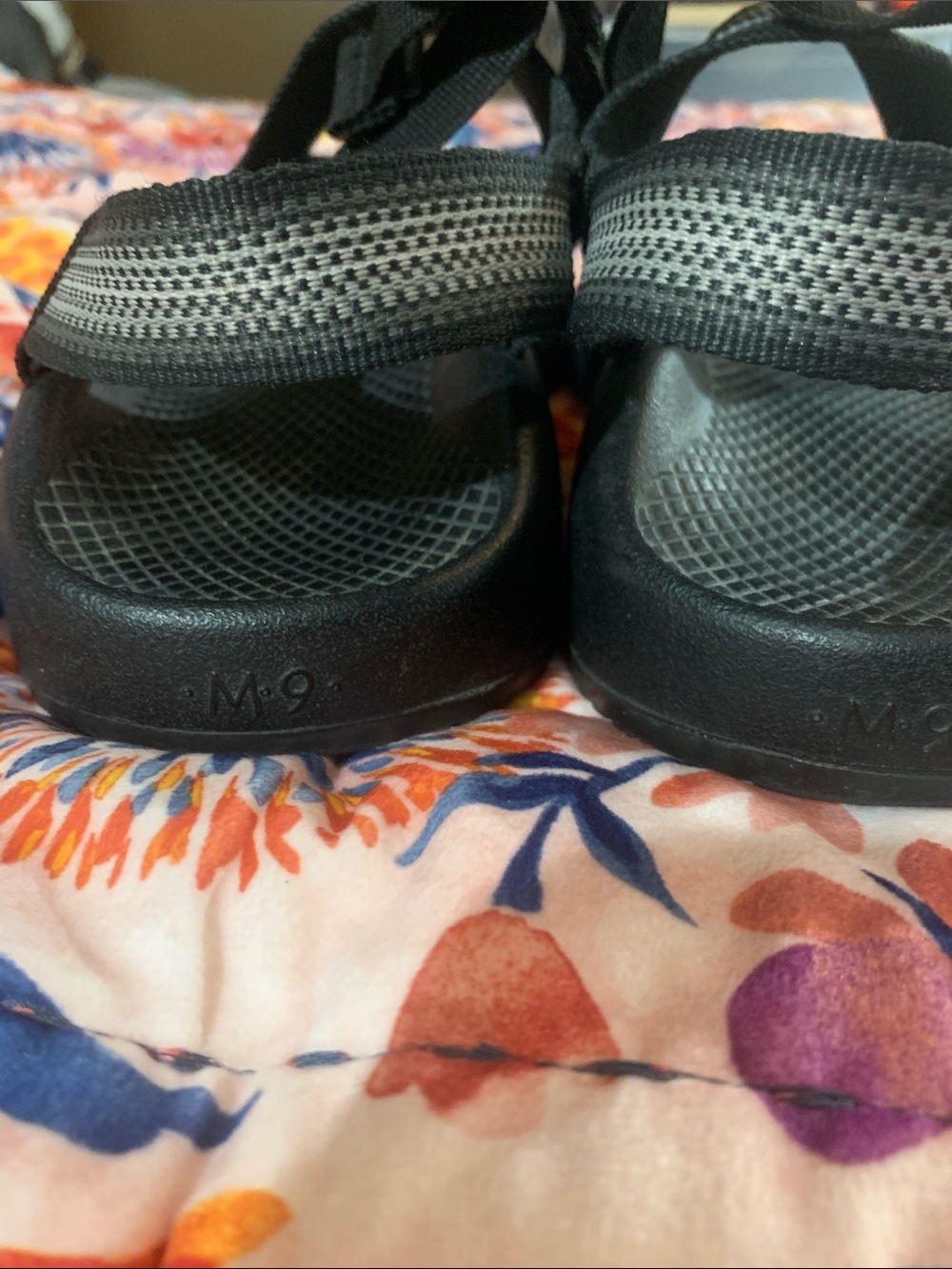 Chaco - Picture 8 of 8